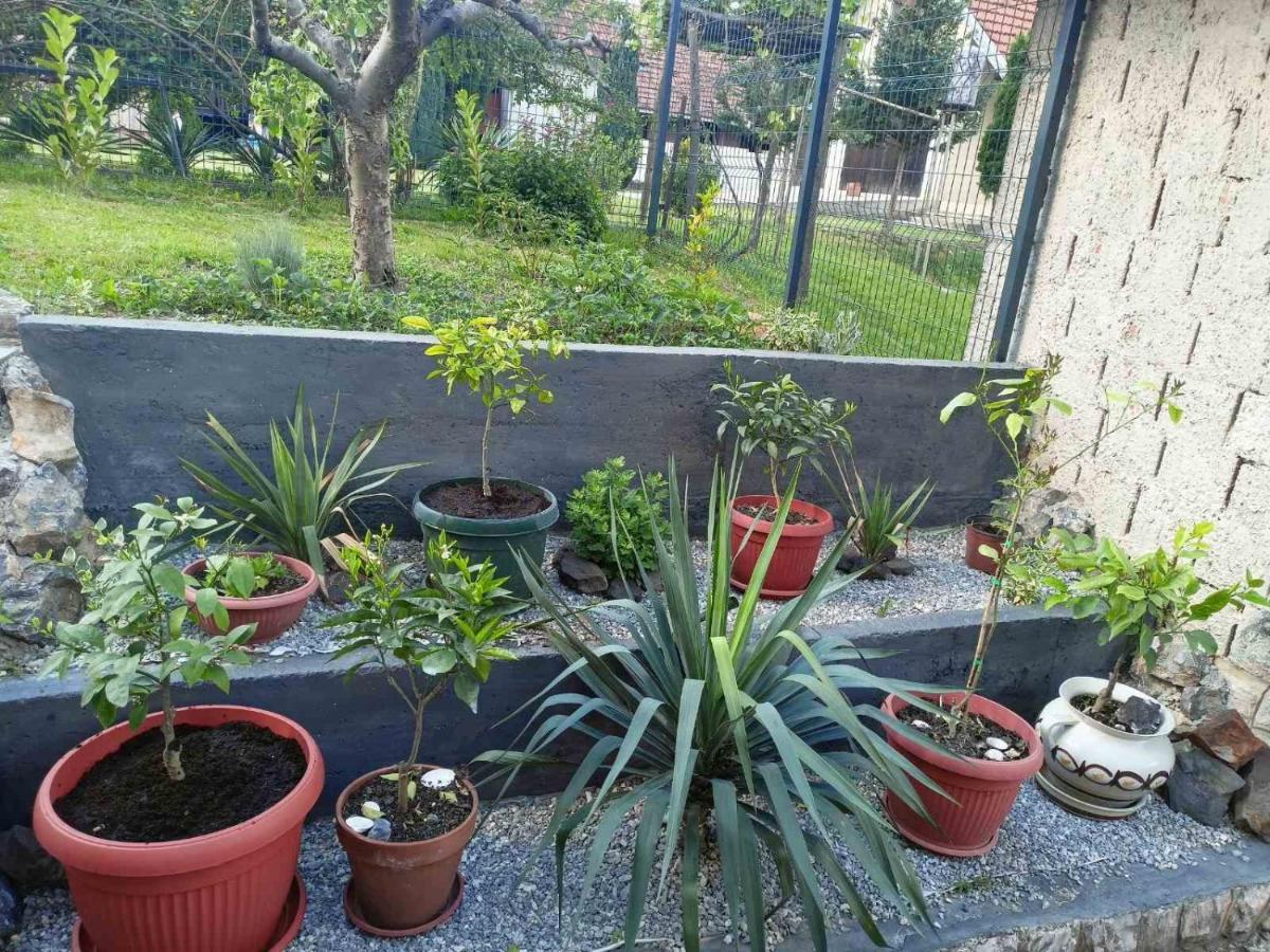 Apartman Excluziv Prijedor Exterior foto